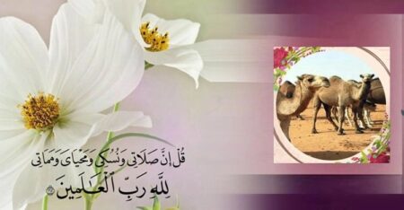 কোরবানি না করে সেই টাকা কি দান করা যাবে?