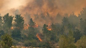 ভয়াবহ দাবানলে পুড়ছে ইসরাইল, বন্ধ জেরুজালেমের রাস্তা